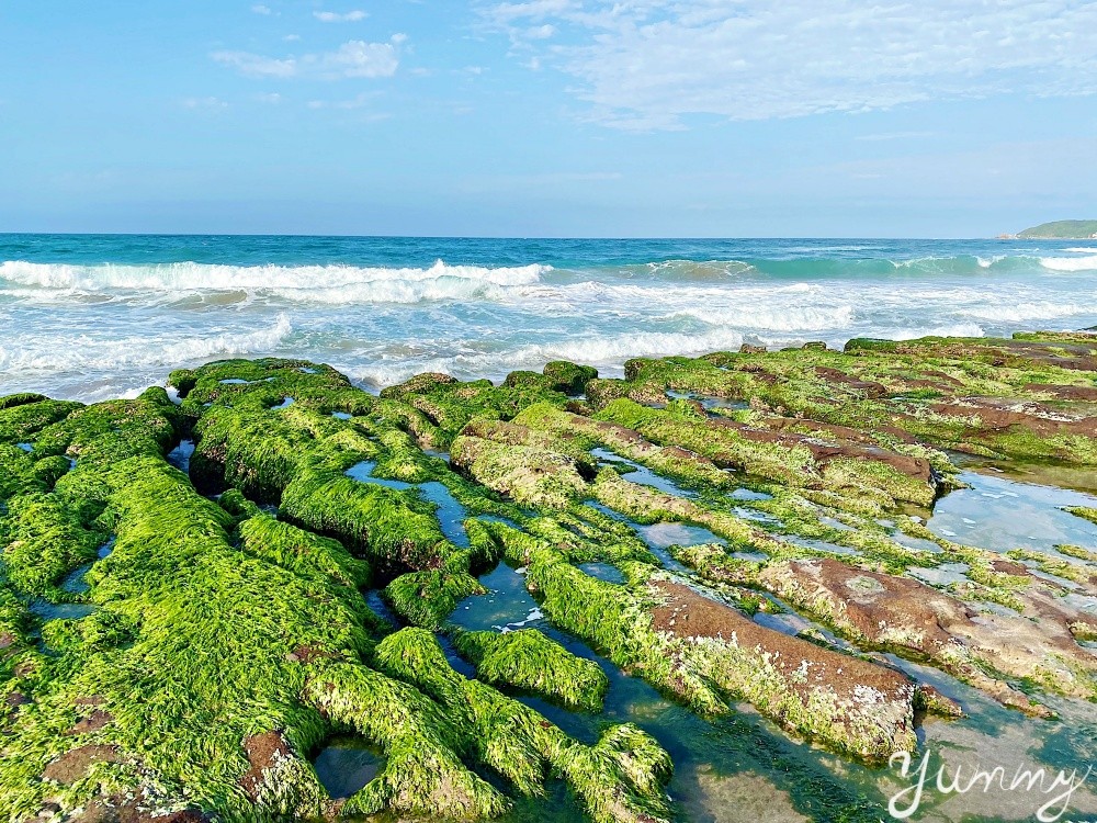 北海岸景點推薦～石門「老梅綠石槽」一片綠意盎然，讓人好不愜意！
