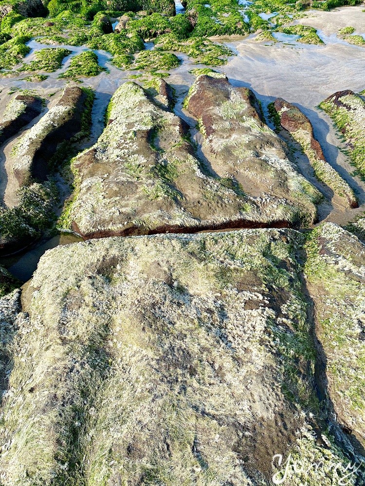 北海岸景點推薦～石門「老梅綠石槽」一片綠意盎然，讓人好不愜意！